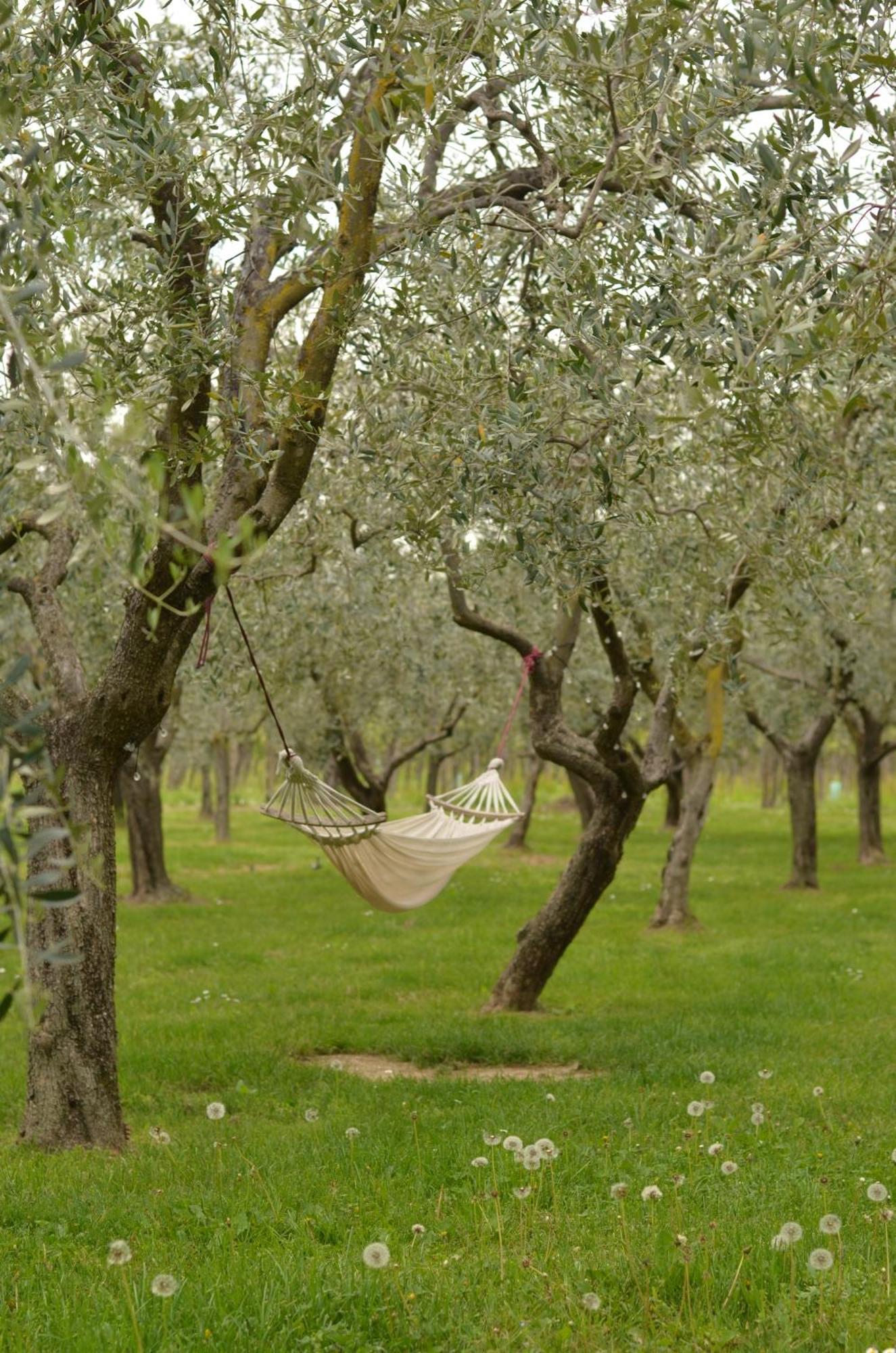 B&B La Cipressina Кавайон-Веронезе Екстер'єр фото